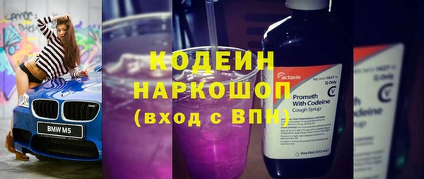 СК Инта