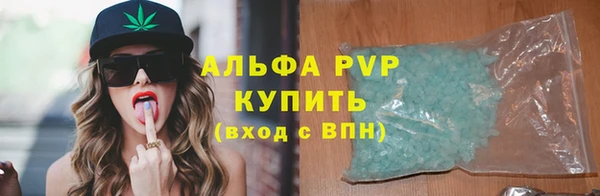 СК Инта