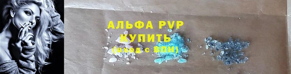 дмт Инсар