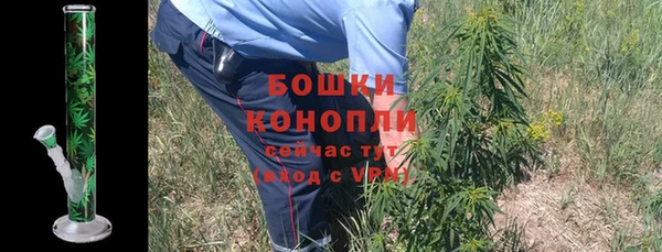 дмт Инсар