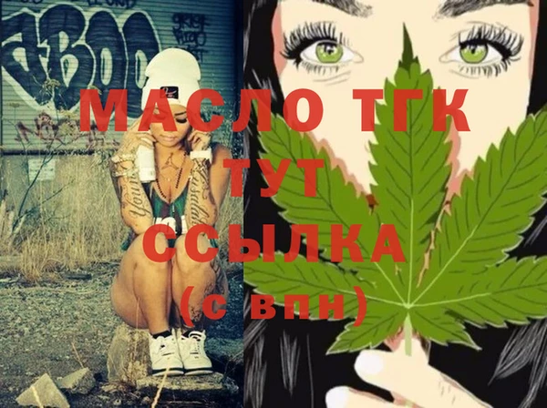 дмт Инсар