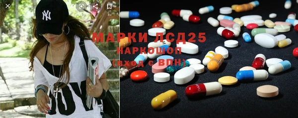 стафф Карпинск