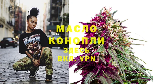 дмт Инсар