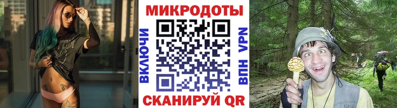Купить где  Богданович  Псилоцибиновые грибы ЛСД 